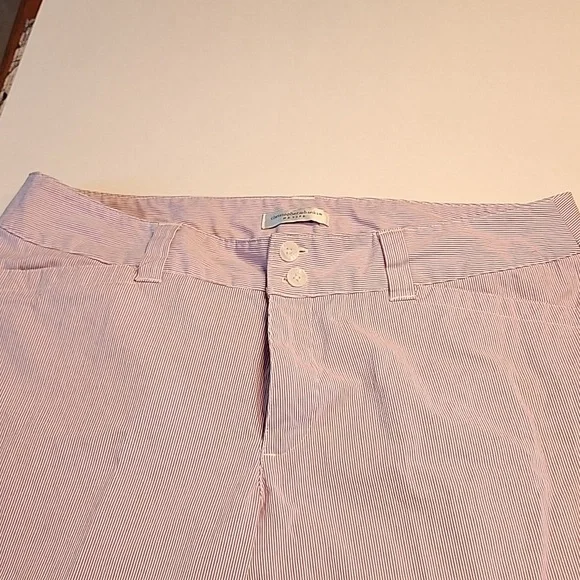 CHRISTOPHER & BANKS Lavender and White Pinstripe Ankle Pants Size 12 Petite - Picture 9 of 12
